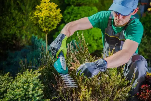 landscaping services Red Cloud